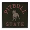 Stupell Industries Vintage Pitbull State Framed Giclee Wall Art Design by Spirit Animals/Life Is High
